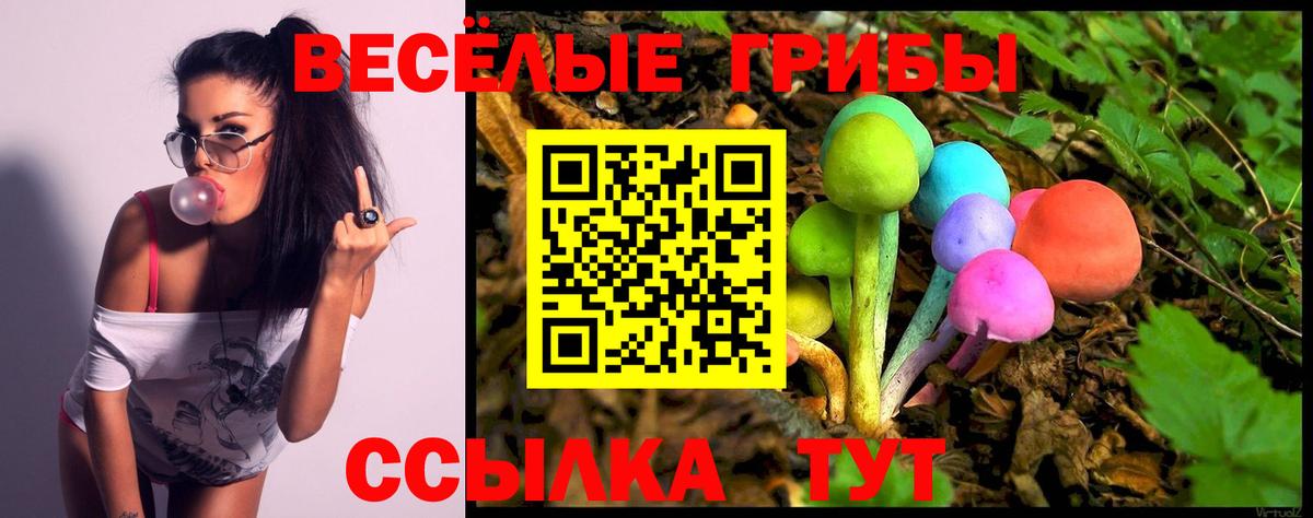 Кольчугино  Галлюциногенные грибы Magic Shrooms  Галлюциногенные грибы Magic Shrooms  Вход с VPN 